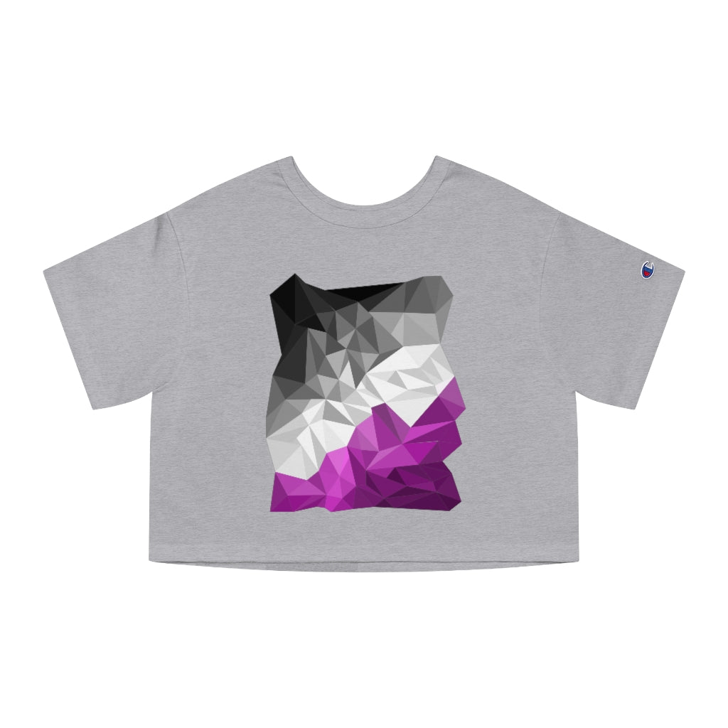 Champion - Abstract Asexual Flag Cropped T-Shirt