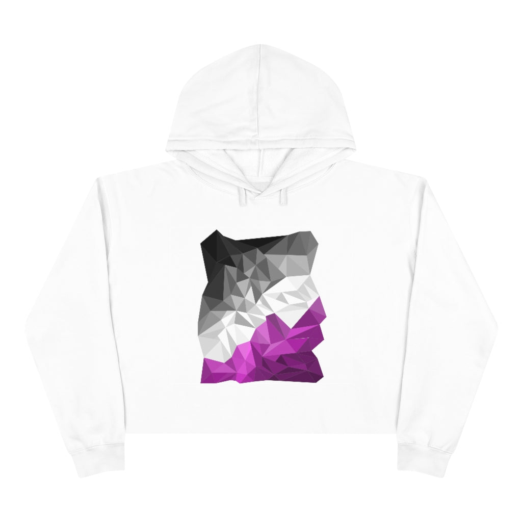 Asexual Crop Hoodie - Abstract Ace Flag