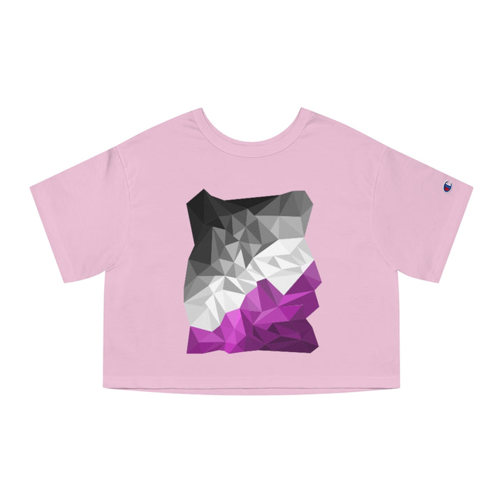 Champion - Abstract Asexual Flag Cropped T-Shirt