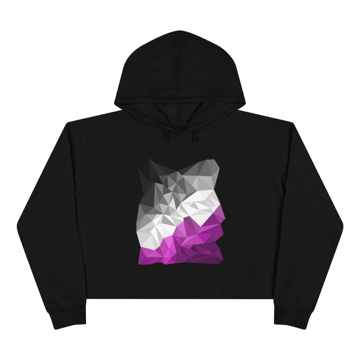 Asexual Crop Hoodie - Abstract Ace Flag