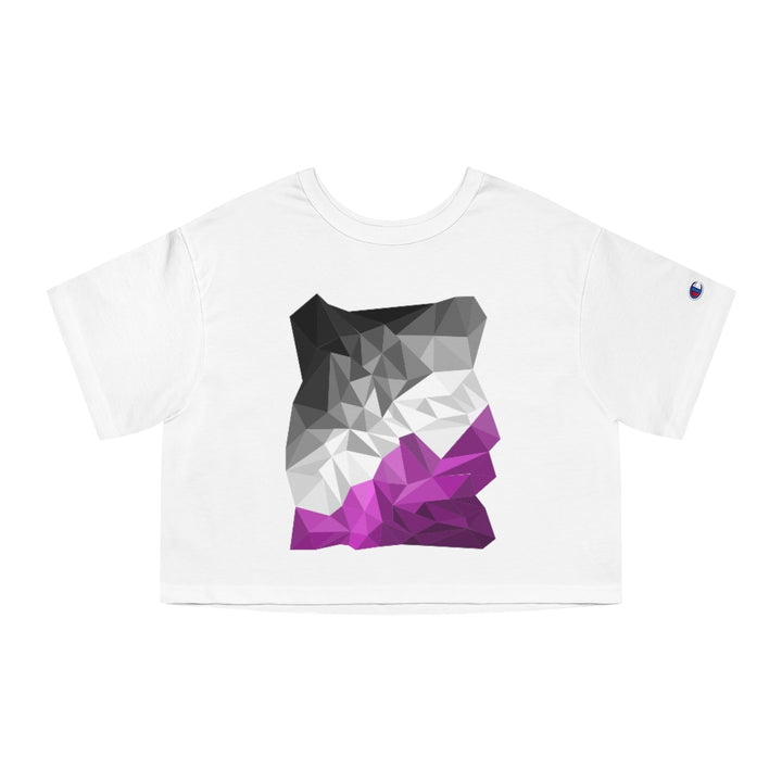 Champion - Abstract Asexual Flag Cropped T-Shirt