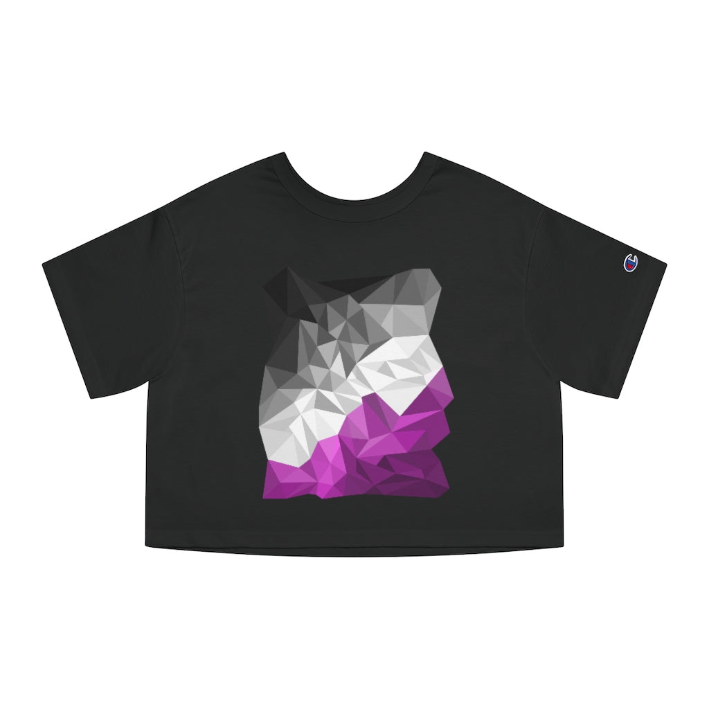 Champion - Abstract Asexual Flag Cropped T-Shirt