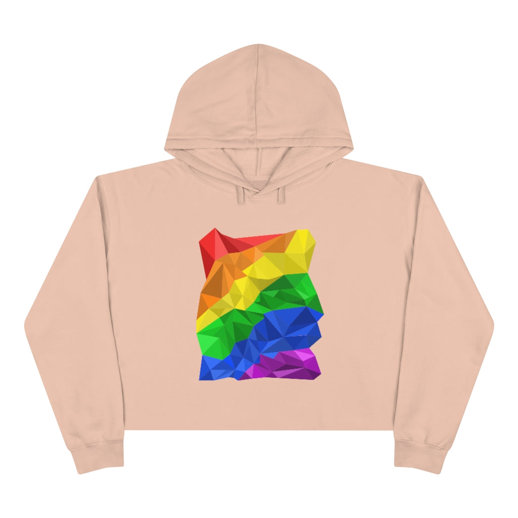 LGBTQ Pride Crop Hoodie - Abstract Pride Flag